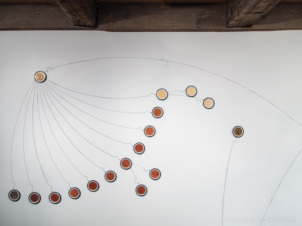 Local-Colour spidergram installation