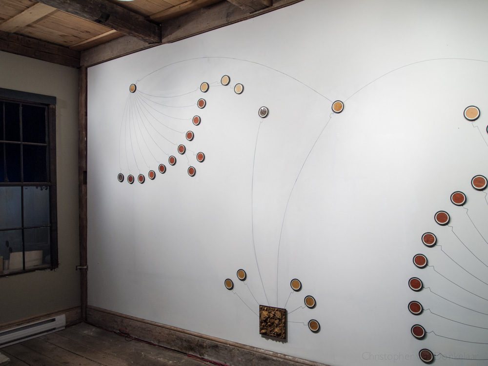 Local-Colour spidergram installation