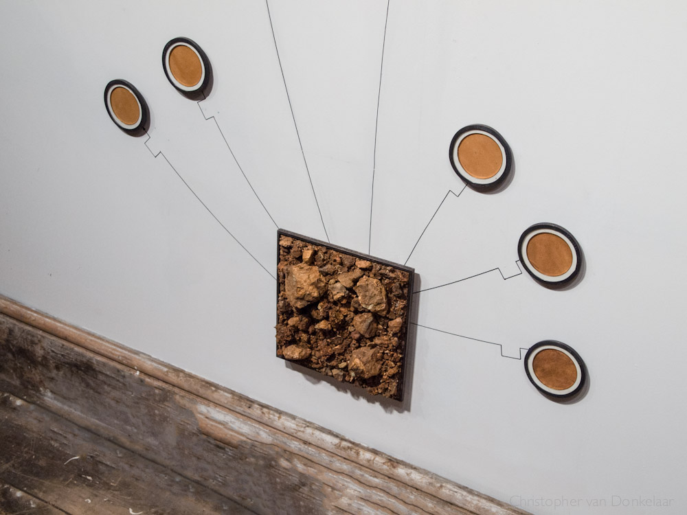 Local-Colour spidergram installation